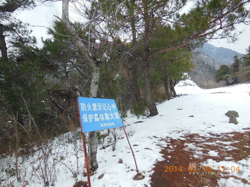 DSCN4437.jpg
