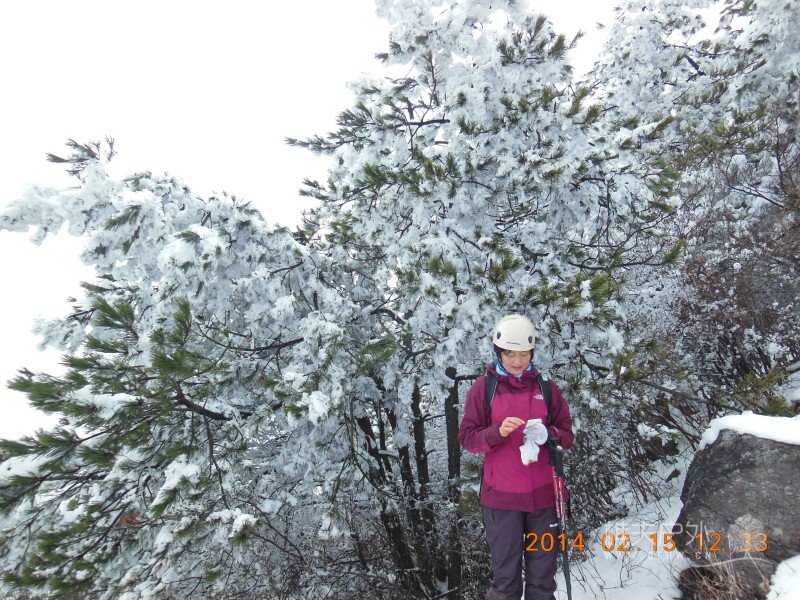 DSCN4491.jpg