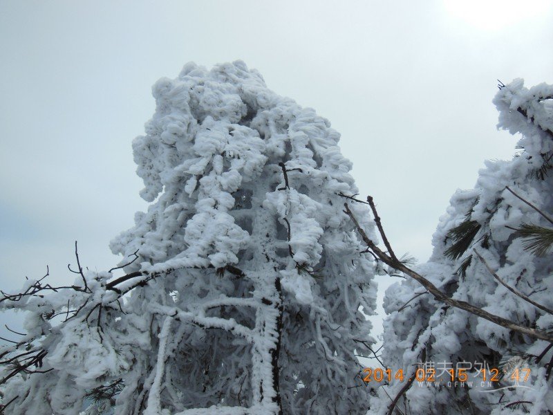 DSCN4511.jpg