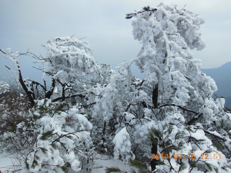 DSCN4516.jpg
