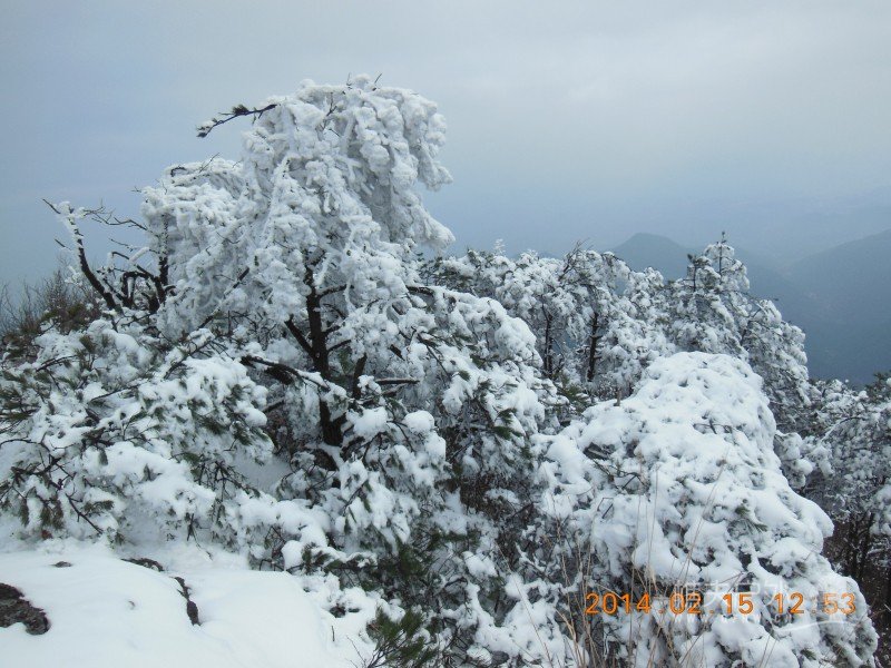 DSCN4522.jpg