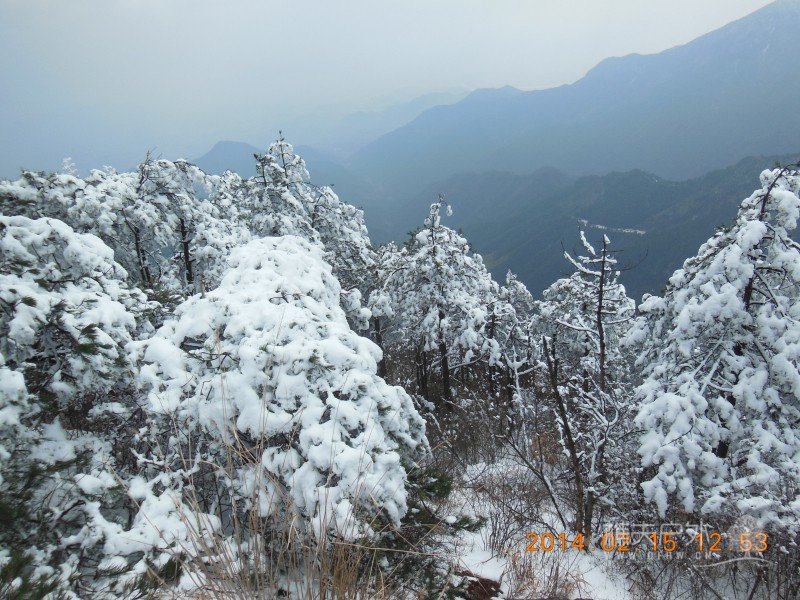 DSCN4521.jpg