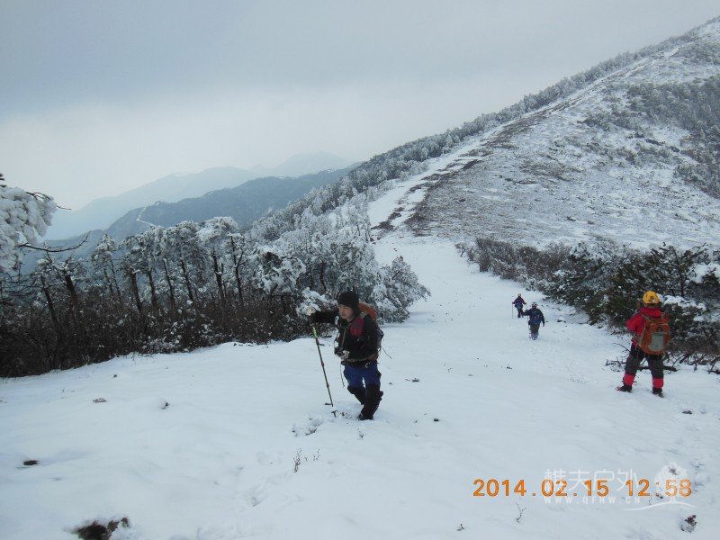 DSCN4532.jpg