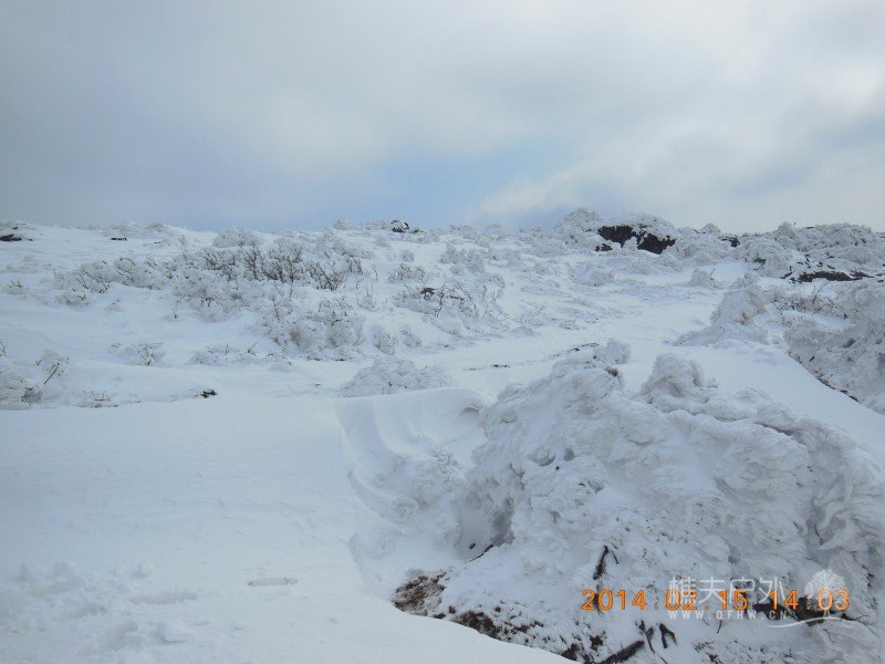 DSCN4662.jpg