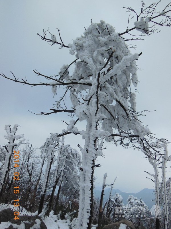 DSCN4550.jpg