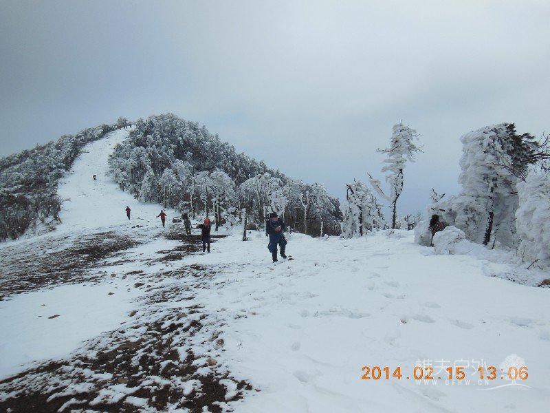 DSCN4559.jpg