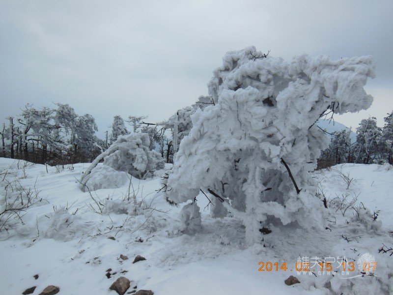 DSCN4560.jpg