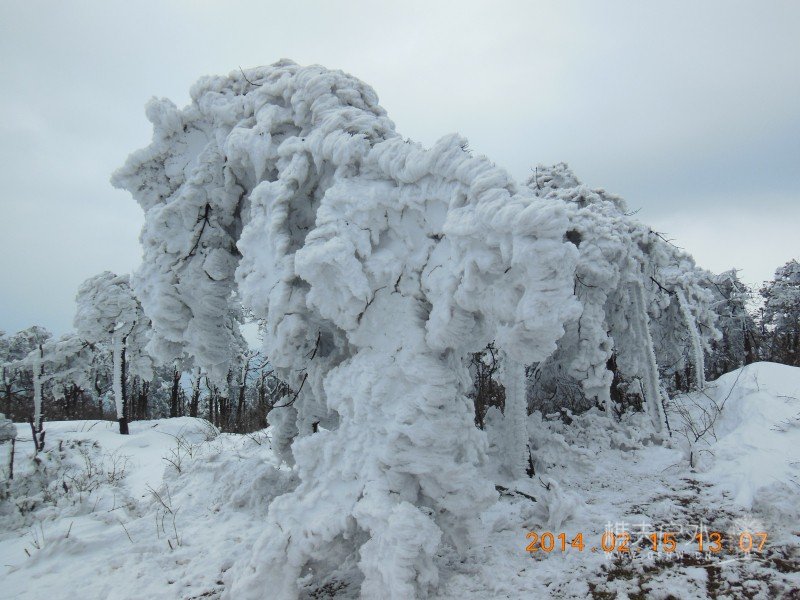 DSCN4562.jpg