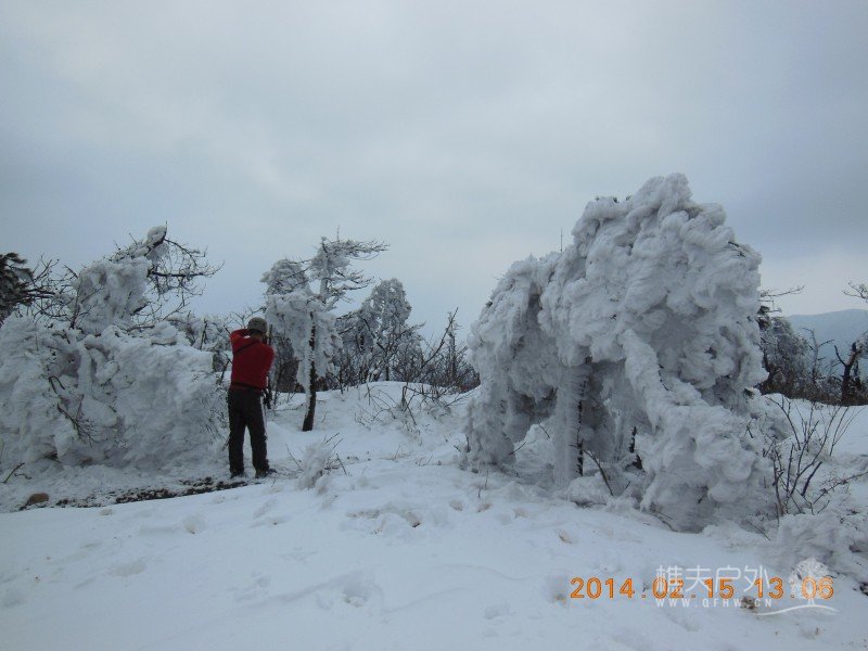 DSCN4558.jpg