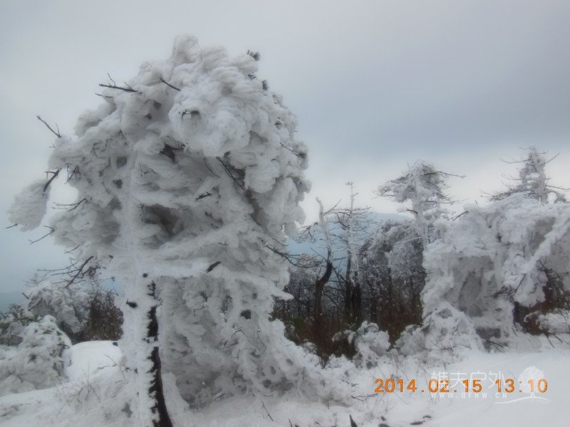 DSCN4569.jpg