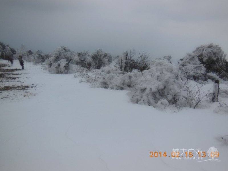DSCN4566.jpg