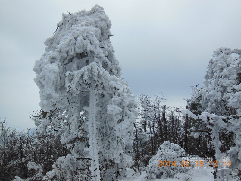 DSCN4575.jpg