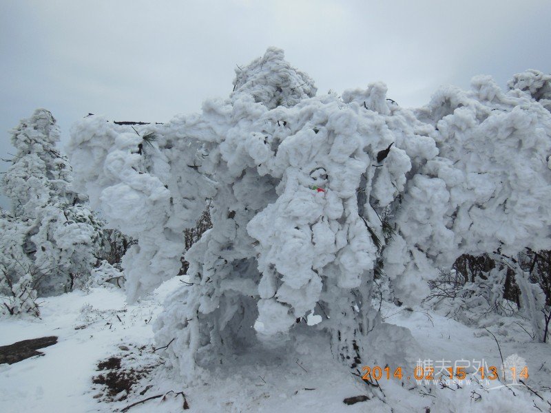 DSCN4577.jpg