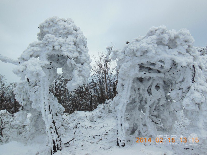 DSCN4579.jpg