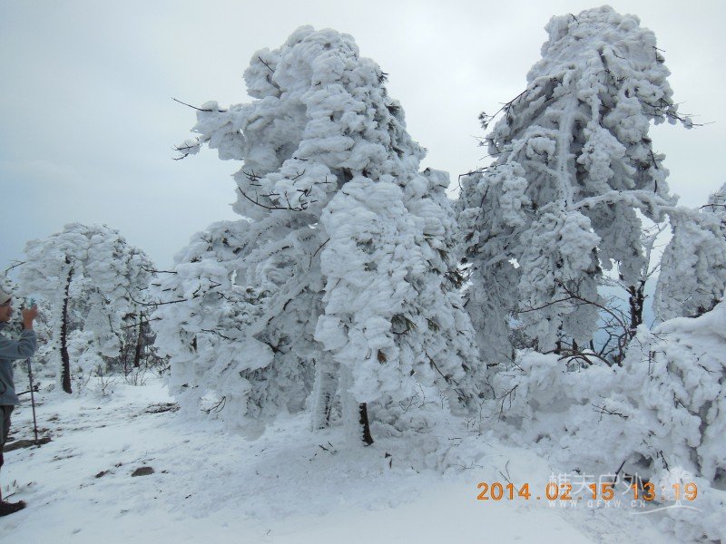 DSCN4584.jpg