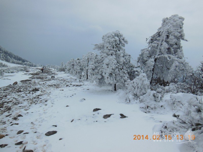 DSCN4586.jpg