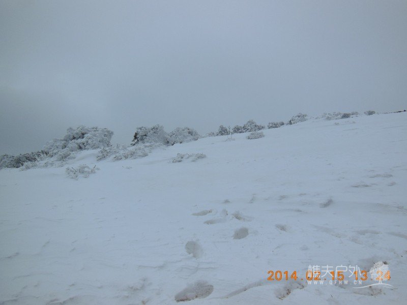 DSCN4590.jpg