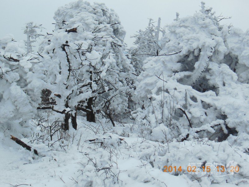 DSCN4589.jpg