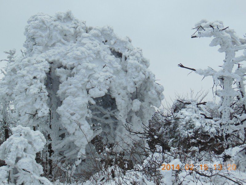 DSCN4588.jpg