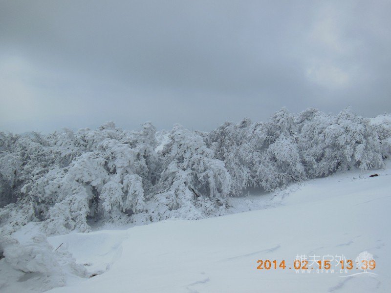 DSCN4604.jpg