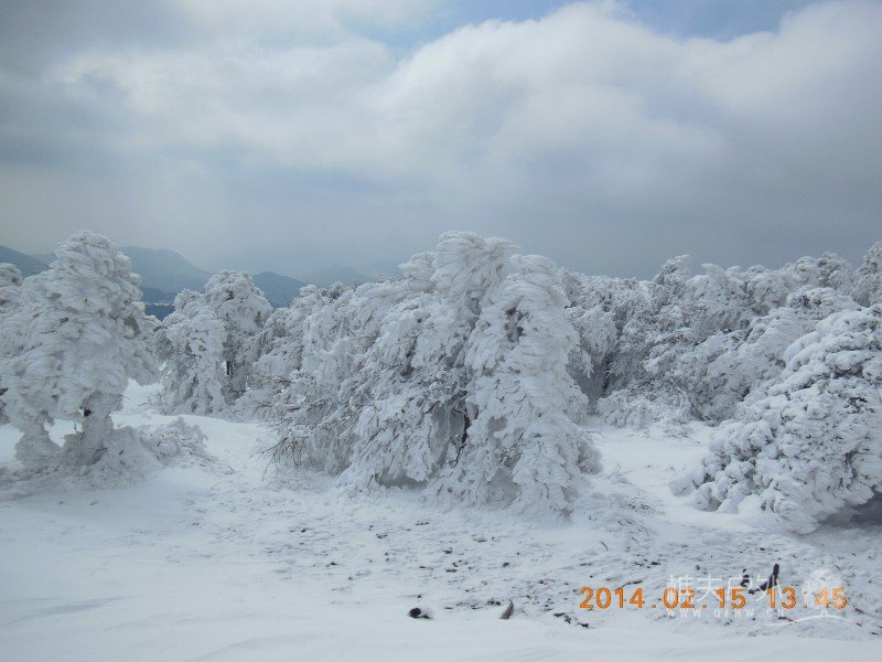 DSCN4618.jpg