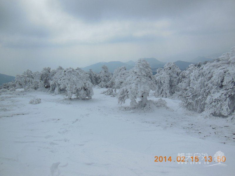 DSCN4635.jpg