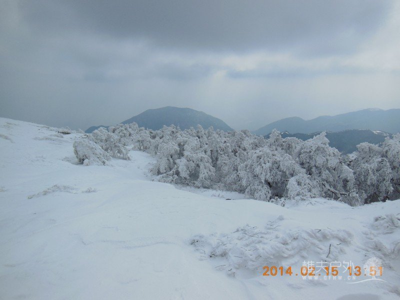 DSCN4637.jpg