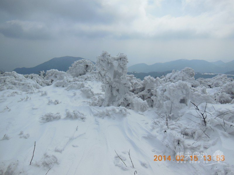 DSCN4645.jpg