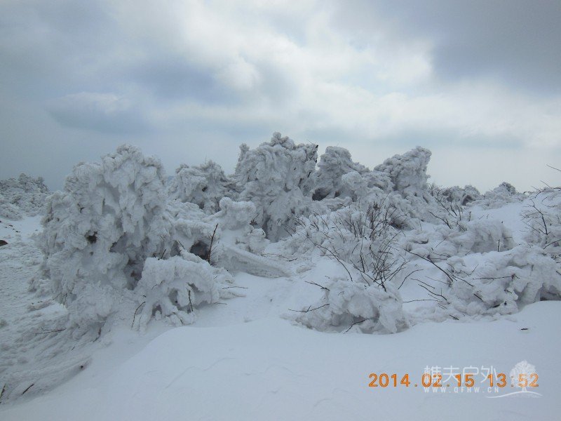 DSCN4644.jpg