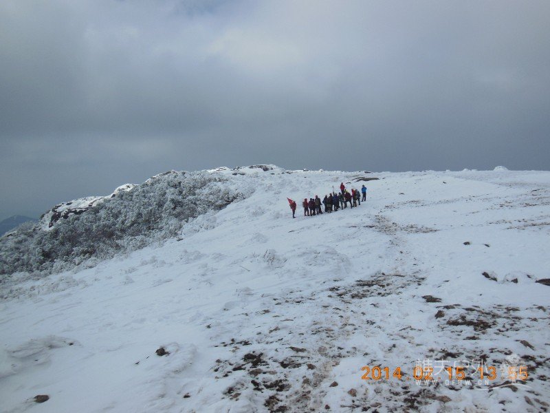 DSCN4650.jpg