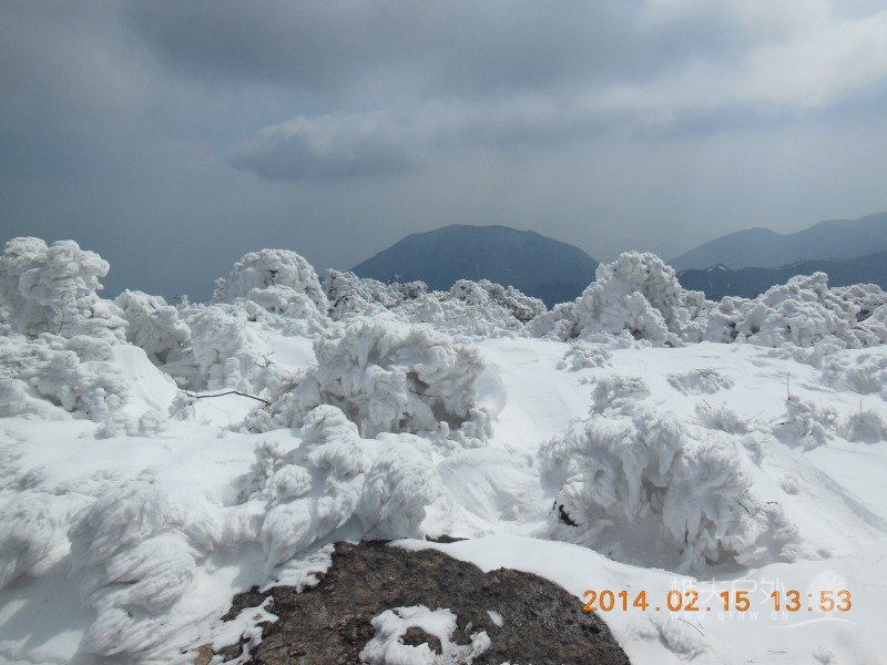 DSCN4647.jpg