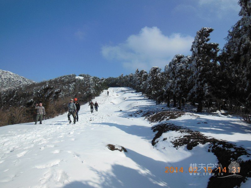 DSCN4712.jpg
