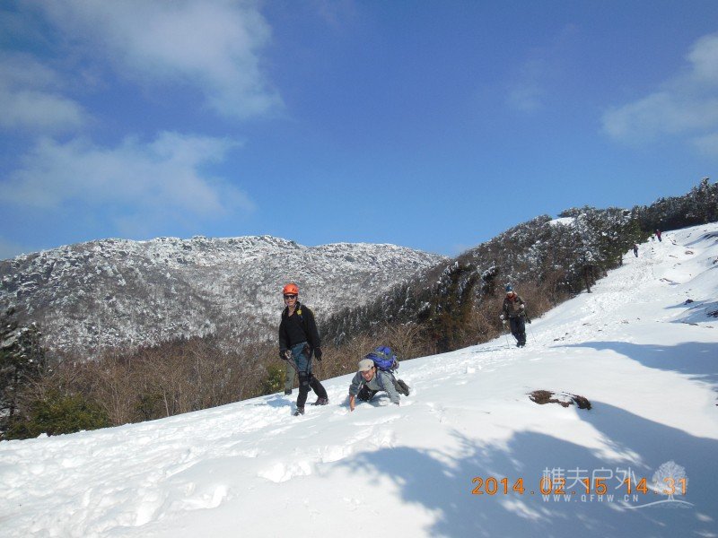 DSCN4713.jpg