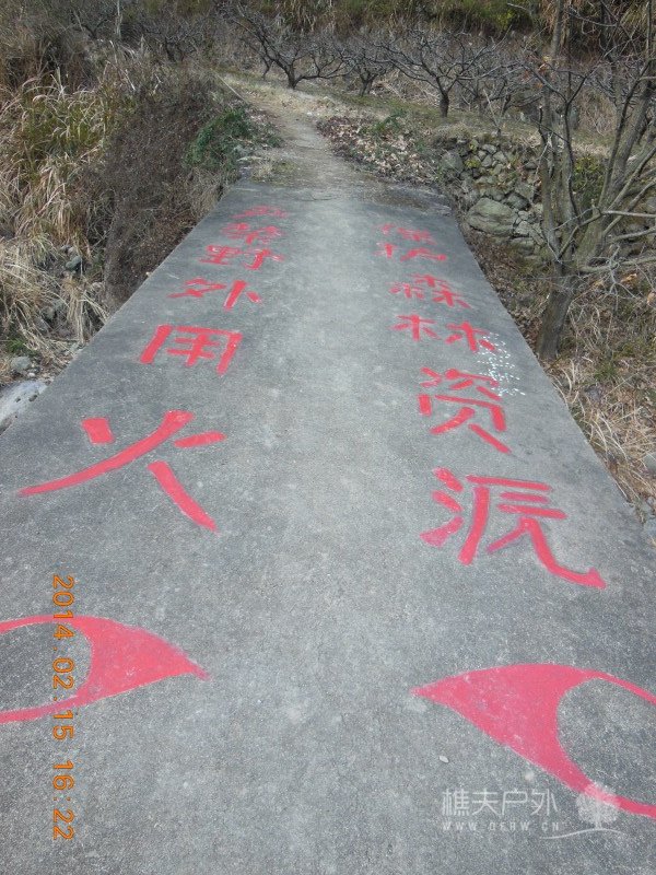 DSCN4725.jpg
