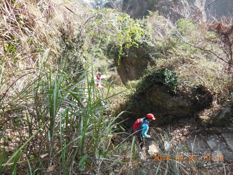 DSCN4761.jpg