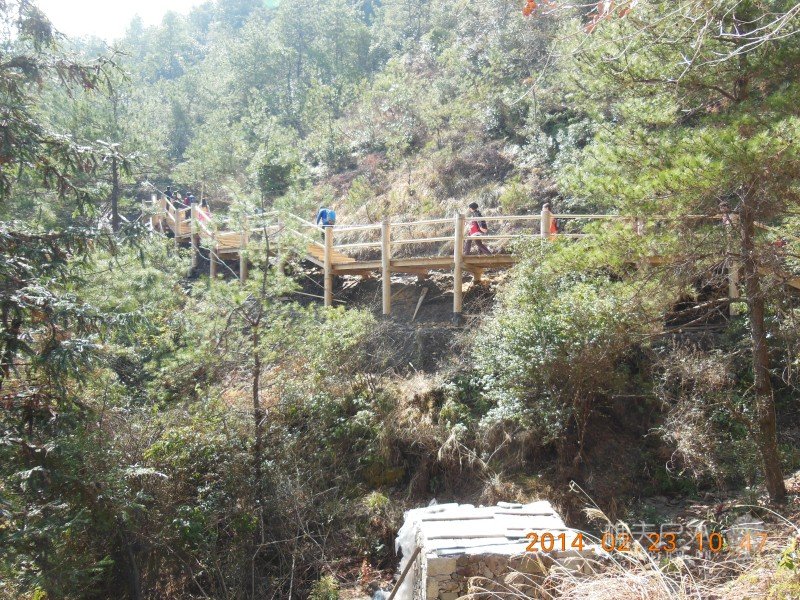 DSCN4771.jpg