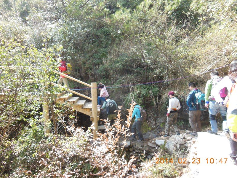 DSCN4772.jpg