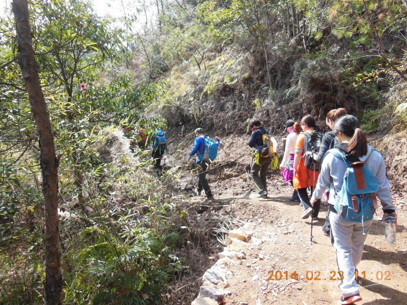 DSCN4783.jpg