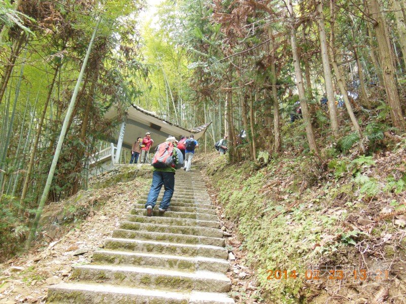DSCN4862.jpg