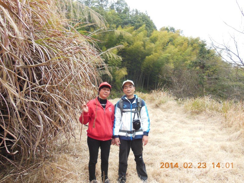 DSCN4892.jpg