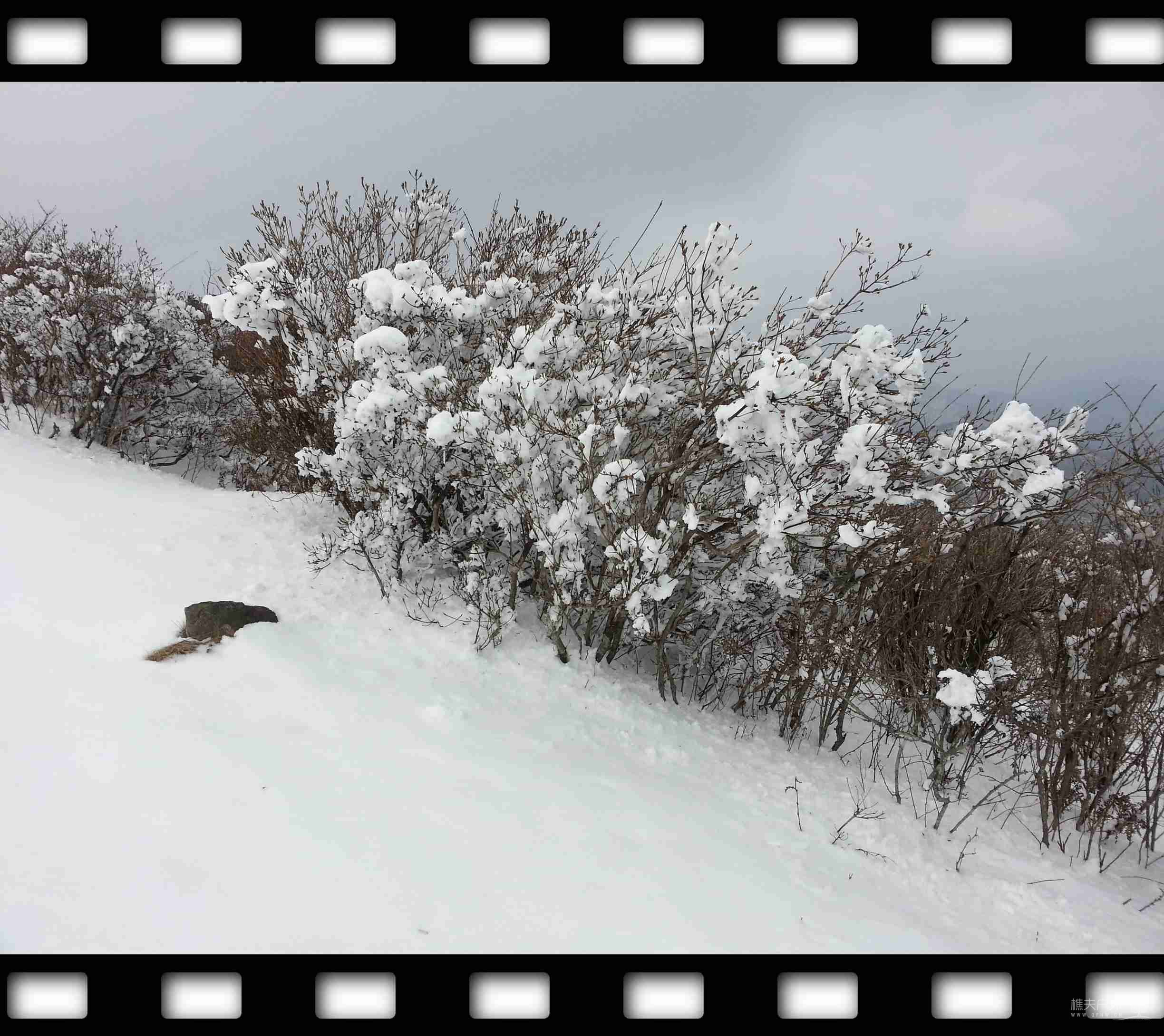 20120101_133446.jpg