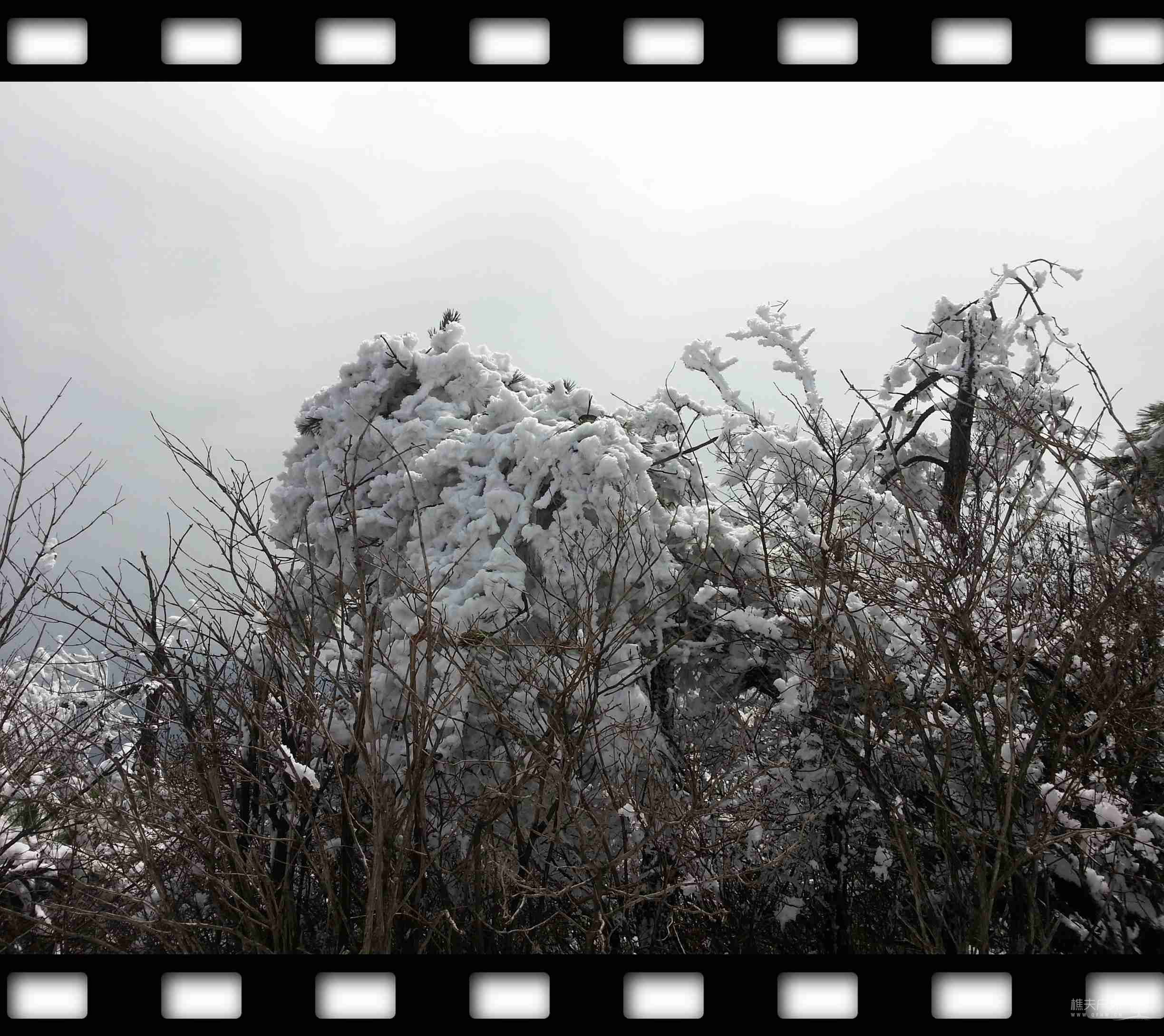 20120101_133813.jpg