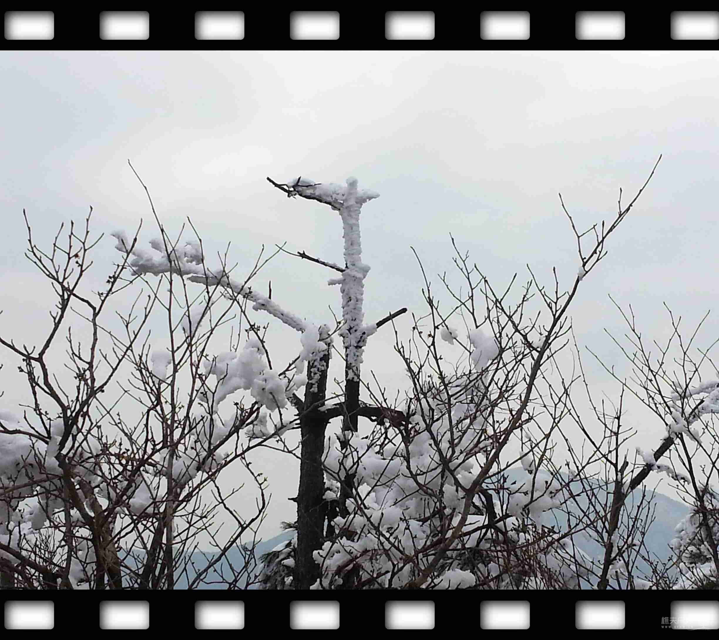 20120101_134524.jpg