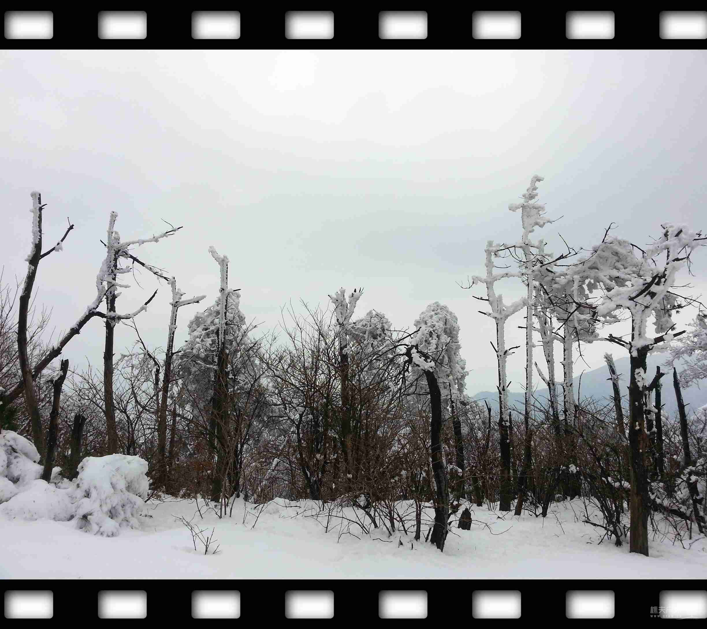20120101_135457.jpg