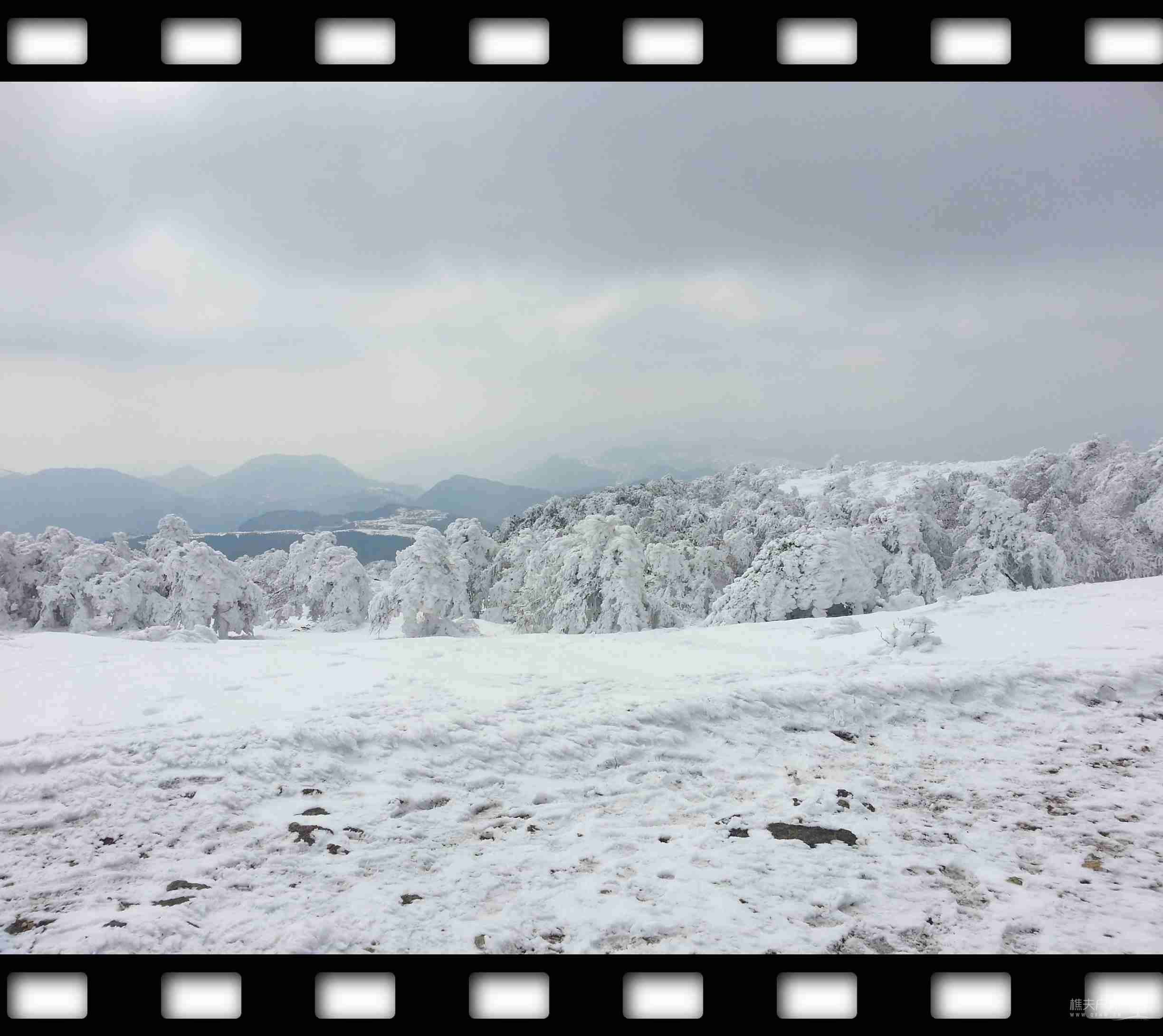 20120101_144231.jpg