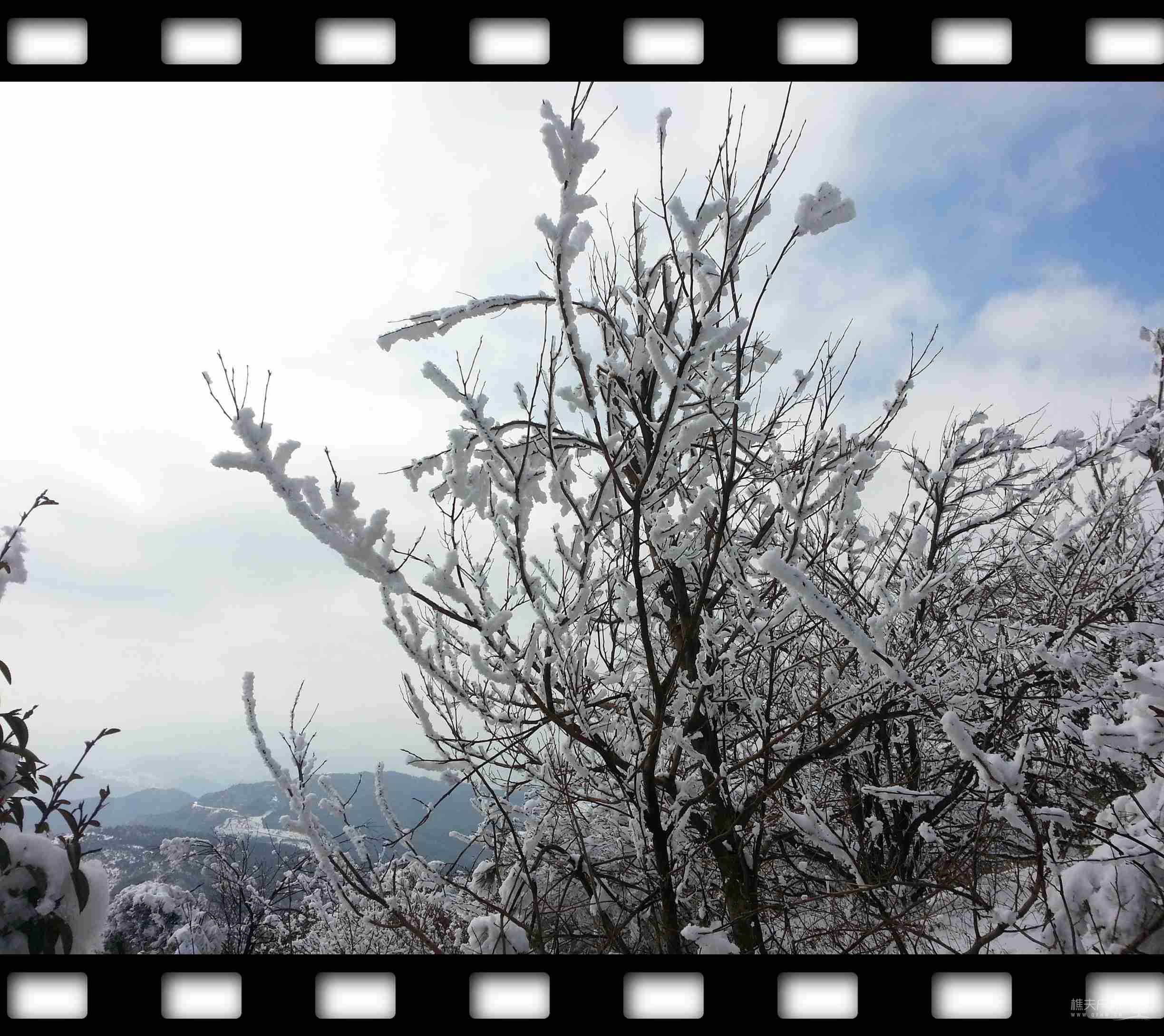 20120101_150618.jpg