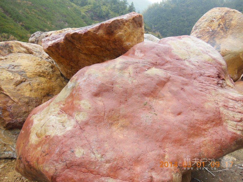 DSCN4949.jpg