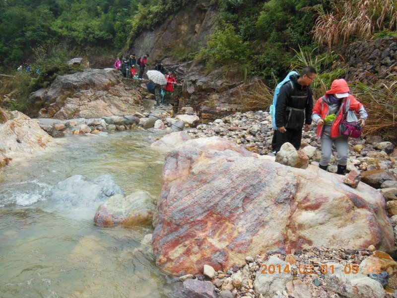 DSCN4955.jpg