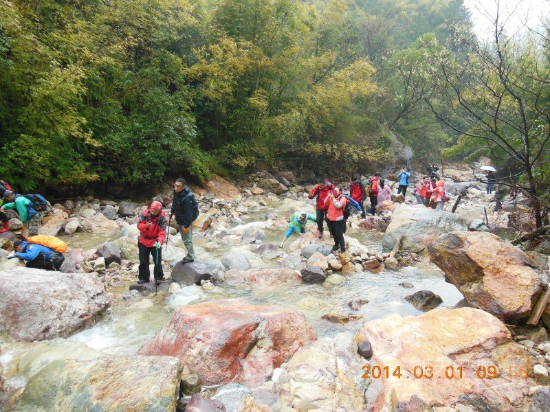 DSCN4974.jpg