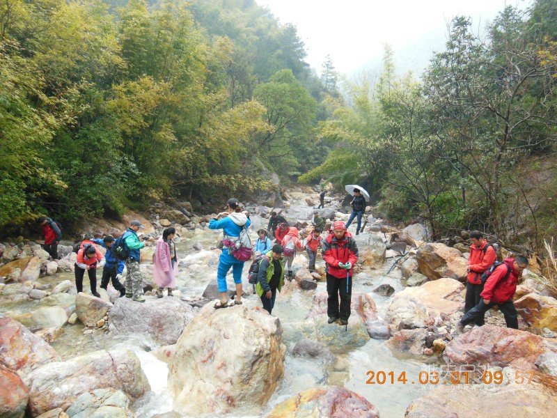 DSCN4976.jpg